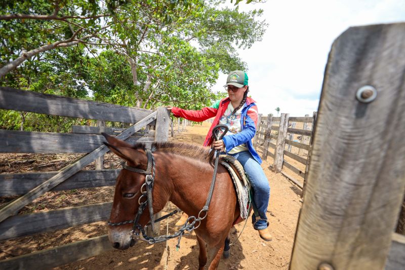 <div class='credito_fotos'>Foto: Marcelo Lelis / Ag. Pará | <a href='/midias/2023/originais/17747_76a75296-fc40-6384-0b59-f776d801d373.jpg' download><i class='fa-solid fa-download'></i> Download</a></div>