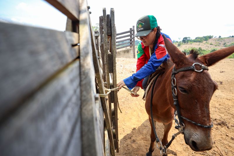 <div class='credito_fotos'>Foto: Marcelo Lelis / Ag. Pará | <a href='/midias/2023/originais/17747_908beb88-7828-d2d9-ea77-9482b5f44054.jpg' download><i class='fa-solid fa-download'></i> Download</a></div>