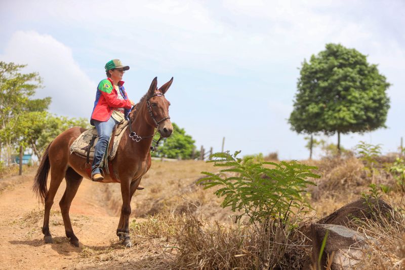 <div class='credito_fotos'>Foto: Marcelo Lelis / Ag. Pará | <a href='/midias/2023/originais/17747_95e1975b-b75b-17ef-26e5-588aa9107e4a.jpg' download><i class='fa-solid fa-download'></i> Download</a></div>