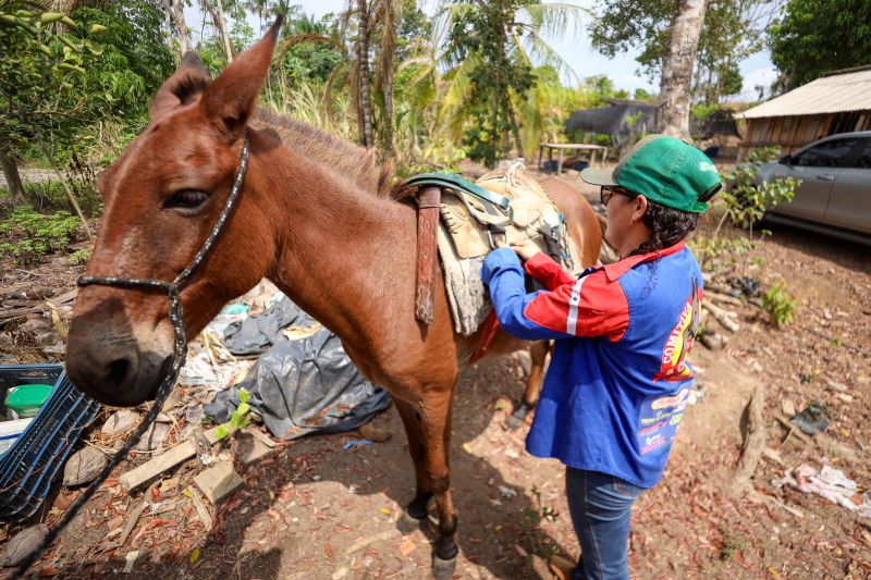 <div class='credito_fotos'>Foto: Marcelo Lelis / Ag. Pará | <a href='/midias/2023/originais/17747_9e89a902-d574-0287-a09d-6143720d8d2d.jpg' download><i class='fa-solid fa-download'></i> Download</a></div>
