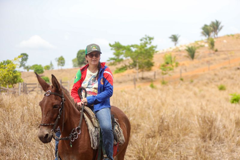 <div class='credito_fotos'>Foto: Marcelo Lelis / Ag. Pará | <a href='/midias/2023/originais/17747_bf24f3b1-7626-feec-26bf-a6954f2aa5e1.jpg' download><i class='fa-solid fa-download'></i> Download</a></div>