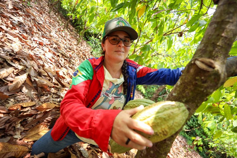 <div class='credito_fotos'>Foto: Marcelo Lelis / Ag. Pará | <a href='/midias/2023/originais/17747_d780e537-59df-6715-26c0-c4a8cf229b09.jpg' download><i class='fa-solid fa-download'></i> Download</a></div>