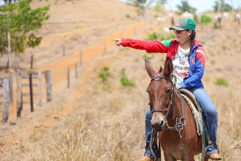 <div class='credito_fotos'>Foto: Marcelo Lelis / Ag. Pará | <a href='/midias/2023/originais/17747_d8bb86e3-d967-73e9-82b7-3a54b33856cf.jpg' download><i class='fa-solid fa-download'></i> Download</a></div>