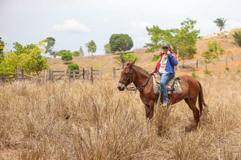 <div class='credito_fotos'>Foto: Marcelo Lelis / Ag. Pará | <a href='/midias/2023/originais/17747_df5460f4-240b-d118-1426-c6ddbe9fe5b8.jpg' download><i class='fa-solid fa-download'></i> Download</a></div>