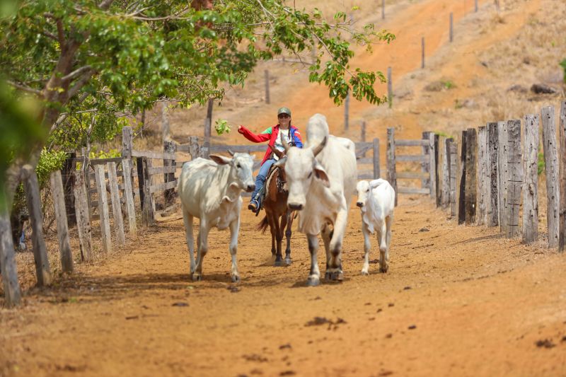 <div class='credito_fotos'>Foto: Marcelo Lelis / Ag. Pará | <a href='/midias/2023/originais/17747_e481eb6e-9595-7dfb-c113-e836e0bb96dd.jpg' download><i class='fa-solid fa-download'></i> Download</a></div>