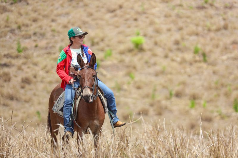 <div class='credito_fotos'>Foto: Marcelo Lelis / Ag. Pará | <a href='/midias/2023/originais/17747_f8e33f0a-7d8b-6298-7b45-39095444a684.jpg' download><i class='fa-solid fa-download'></i> Download</a></div>