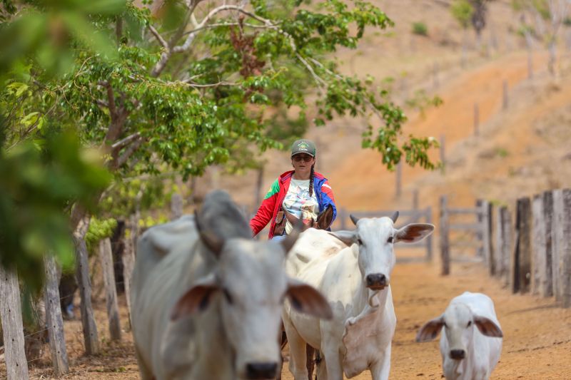 <div class='credito_fotos'>Foto: Marcelo Lelis / Ag. Pará | <a href='/midias/2023/originais/17747_f95d4b81-12ad-cba5-d8f9-ace12bed14ba.jpg' download><i class='fa-solid fa-download'></i> Download</a></div>