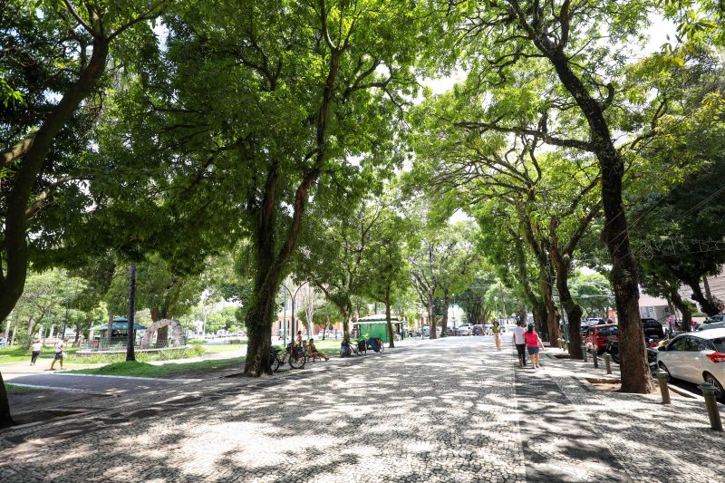 <div class='credito_fotos'>Foto: Marcelo Lelis / Ag. Pará | <a href='/midias/2023/originais/17847_53f494af-9501-cfe9-0822-cedd237d510b.jpg' download><i class='fa-solid fa-download'></i> Download</a></div>