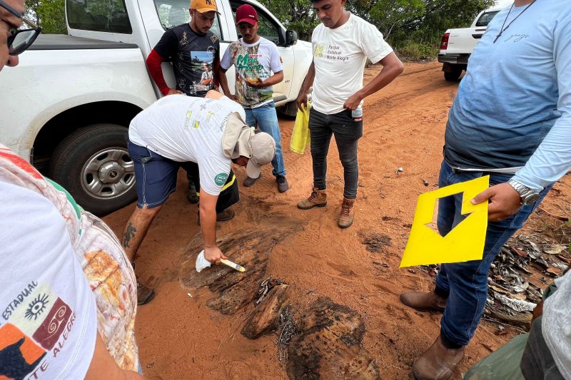 <div class='credito_fotos'>Foto: João Vitor Santos / Ascom Ideflor-Bio | <a href='/midias/2023/originais/17882_68e45293-5254-d24a-4b05-c335190e5568.jpg' download><i class='fa-solid fa-download'></i> Download</a></div>