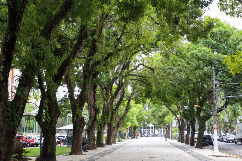 <div class='credito_fotos'>Foto: Agência Pará | <a href='/midias/2023/originais/17953_6edc492e-1f15-f0a5-3100-b17b87bf3a1d.jpg' download><i class='fa-solid fa-download'></i> Download</a></div>