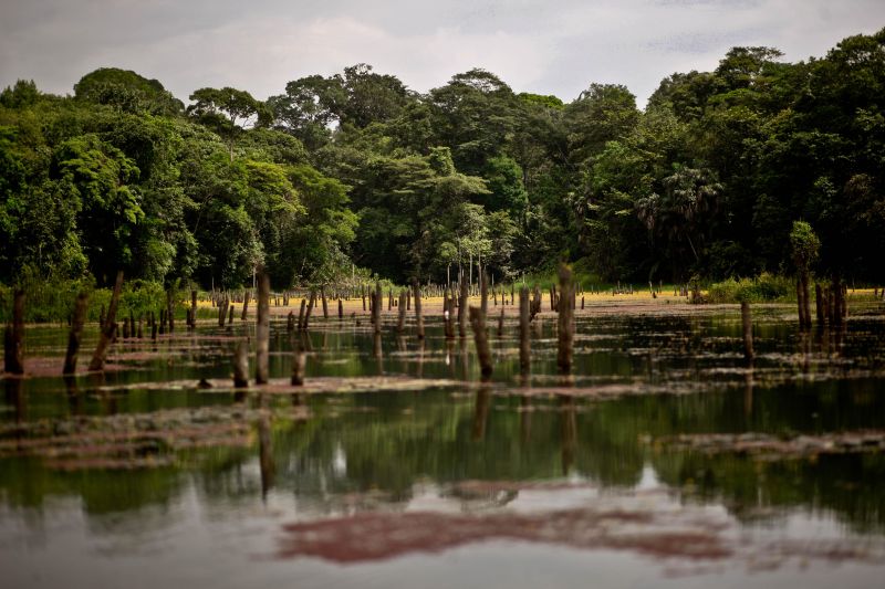 <div class='credito_fotos'>Foto: Agência Pará | <a href='/midias/2023/originais/17953_9be4b930-461b-8a9b-ba9c-7e8ff1274f77.jpg' download><i class='fa-solid fa-download'></i> Download</a></div>