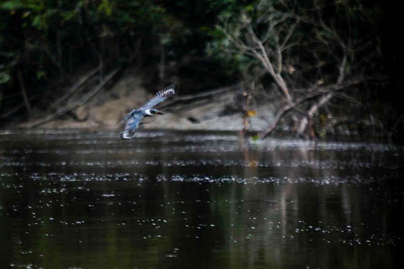 <div class='credito_fotos'>Foto: Agência Pará | <a href='/midias/2023/originais/17953_a96797a7-71b2-ee51-018f-4b9b5324b552.jpg' download><i class='fa-solid fa-download'></i> Download</a></div>