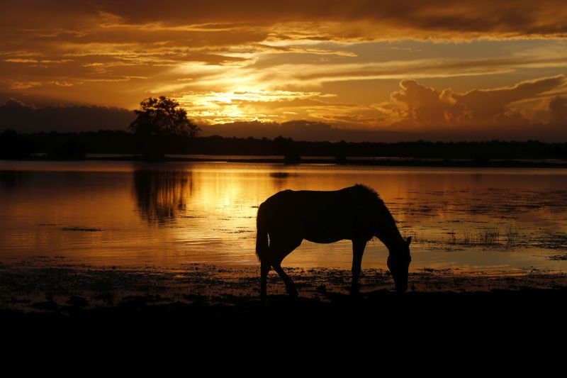 <div class='credito_fotos'>Foto: Agência Pará | <a href='/midias/2023/originais/17953_e6e0da64-4889-0725-4e33-3481a71f1448.jpg' download><i class='fa-solid fa-download'></i> Download</a></div>