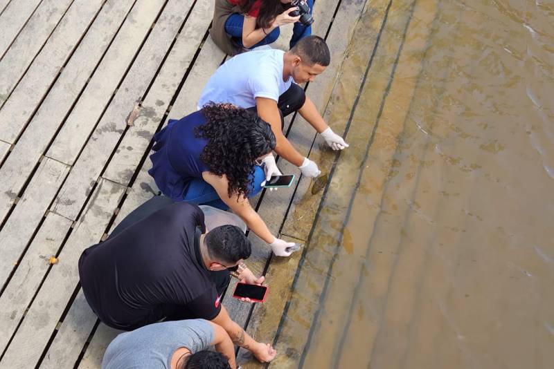 Profissionais de várias instituições participaram da soltura dos animais