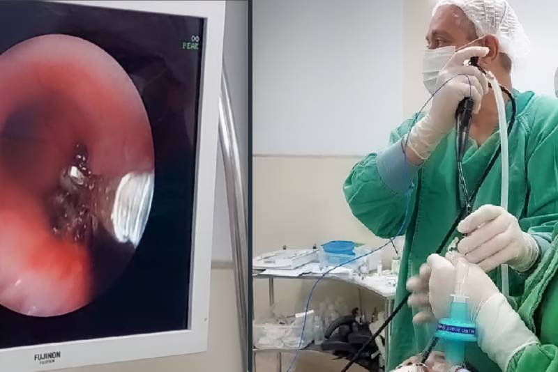 Crédito: Ellyson Ramos/AscomHOL