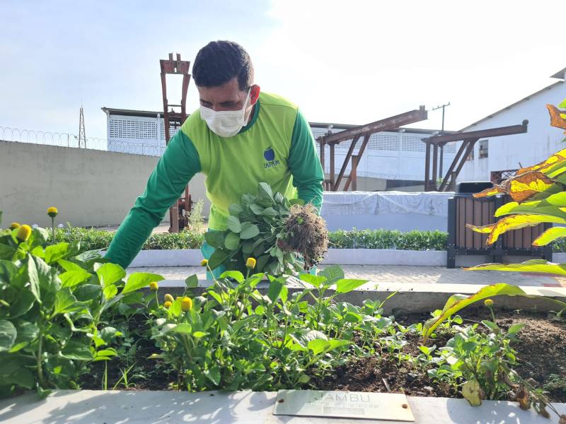 MONITORAMENTO JARDINAGEM E HORA