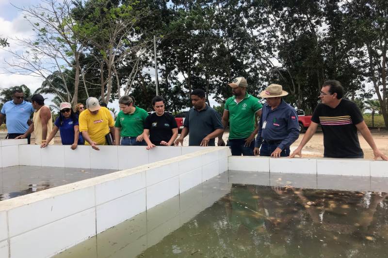 Tanques onde as raizes passam pelo processo de lavagem 