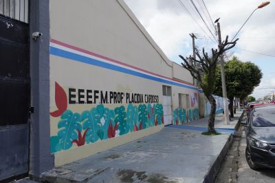 galeria: Escola Estadual Professora Placídia Cardoso