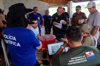 notícia: Operação 'Curupira' completa dois meses com ações de proteção e fiscalização ambiental