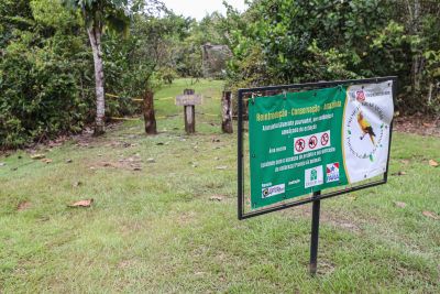 galeria: 1 ano programa ED AMBIENTAL
