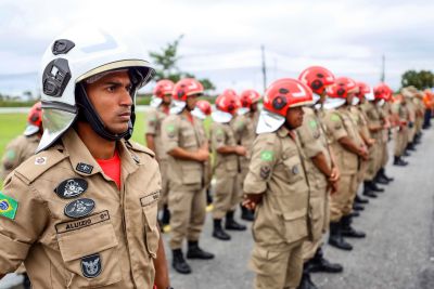notícia: Concurso dos Bombeiros: nova lei permite que graduados de todos os cursos ingressem na corporação