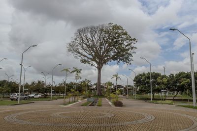 galeria: Secult-memorial-Veronica-Tembe