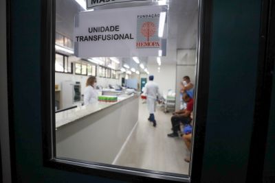 notícia: No mês de maio, mais de 10 mil doadores participam de gesto solidário e doam sangue ao Hemopa 