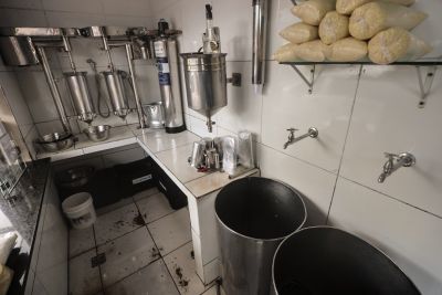 galeria: Doença de chagas-batedores de açaí