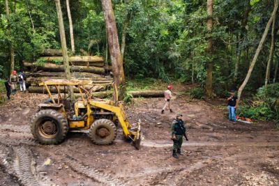 notícia: Operação ‘Curupira’ passa de 1000 fiscalizações integradas e contribui para o combate ao desmatamento