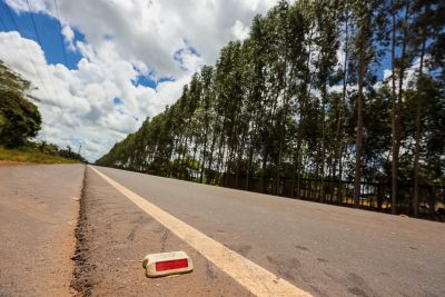 notícia: Estado avança na pavimentação da PA-256 e obras chegam a 80% de conclusão