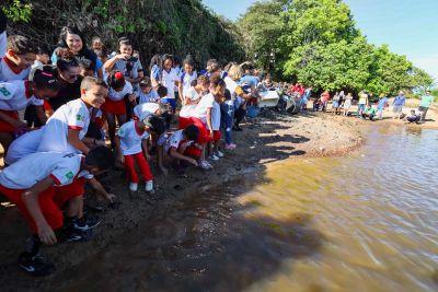 galeria: Soltura de Quelônios em São João do Araguaia - David Alves