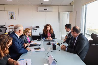 galeria: Helder Barbalho audiência com a Ministra Esther Dwe - Ministério da Gestão e da Inovação em Serviços Públicos do Brasil