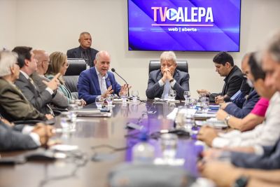 notícia: Secretário da Fazenda apresenta propostas sobre reforma tributária na Alepa 