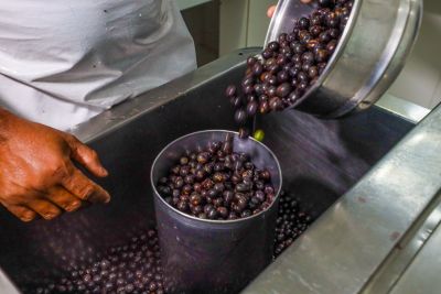 notícia: Sedap fortalece setor de batedores de açaí de Cotijuba com entrega de equipamentos