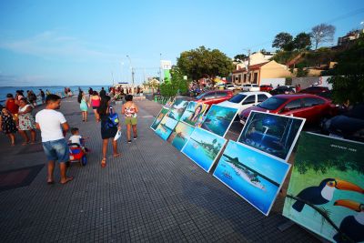 notícia: Estado vai capacitar na área de turismo mais de mil profissionais para a COP 30