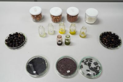 galeria: Diversidade sustentável do açaí (açaí em pó)