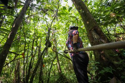 notícia: Atendimento da Emater em Itaituba é porta de acesso de agricultores a políticas públicas 