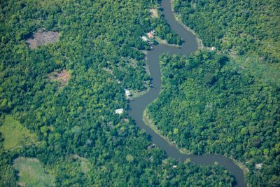 notícia: Ideflor-Bio forma ‘Agentes Ambientais Voluntários’ para reforçar proteção ambiental no Marajó