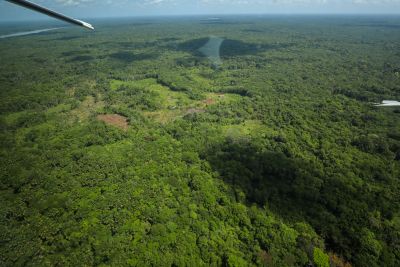 notícia: Pará lidera em 53% os índices de redução em alertas de desmatamento na Amazônia