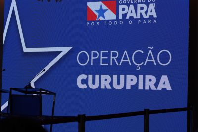 galeria: Operação Curupira - Coletiva