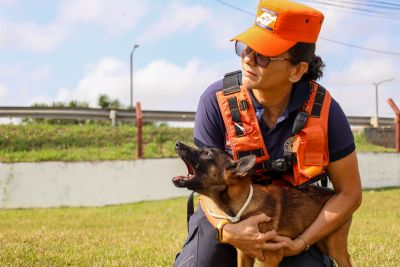 notícia: Segurança Pública investe em grupo de animais de raça, como equinos e cães