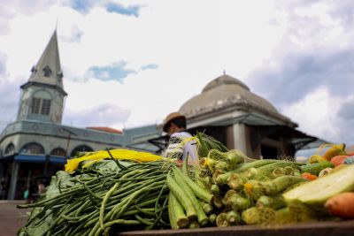 galeria: Ver-o-Peso Belém