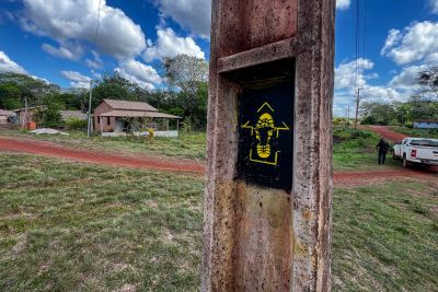 galeria: Rede Pinta Cuia de Trilhas' é criada no Parque Estadual de Monte Alegre, no oeste do Pará