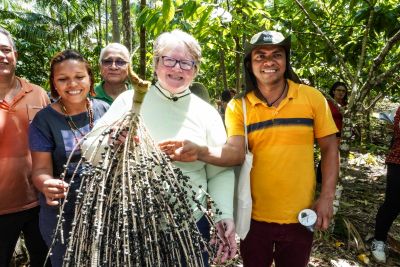 notícia: Ministra do Reino Unido conhece SAFs e projetos de desenvolvimento sustentável realizados pelo Pará