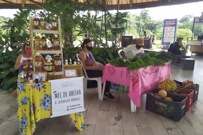 notícia: Parque do Utinga sedia 1ª edição da Feira da Biodiversidade de 2023