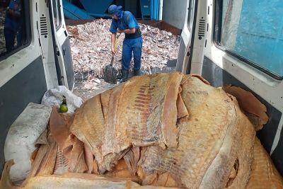 notícia: Adepará apreende mais de 120 mil quilos de produtos irregulares em 2022