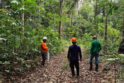 notícia: Ideflor-Bio inicia processo de implantação do Centro de Treinamento em Manejo Florestal em Juruti