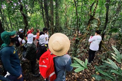 notícia: Parque do Utinga fecha trilhas ecológicas em ação preventiva contra queda de árvores