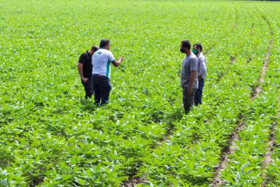 notícia: Em 2022, Emater intermediou mais de R$ 64 milhões para agricultores familiares