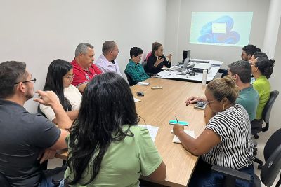 notícia: Defesa Vegetal da Adepará alinha diretrizes para cumprimento de metas em 2023